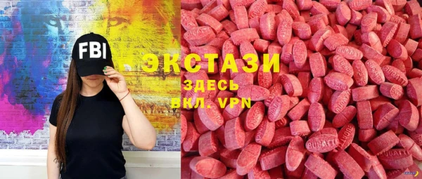 ECSTASY Богданович