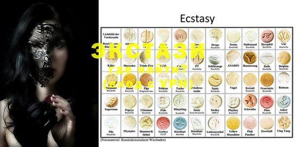 ECSTASY Богданович